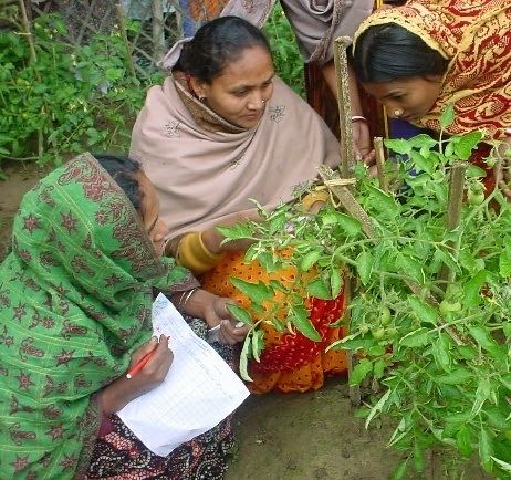 Farmer Field School