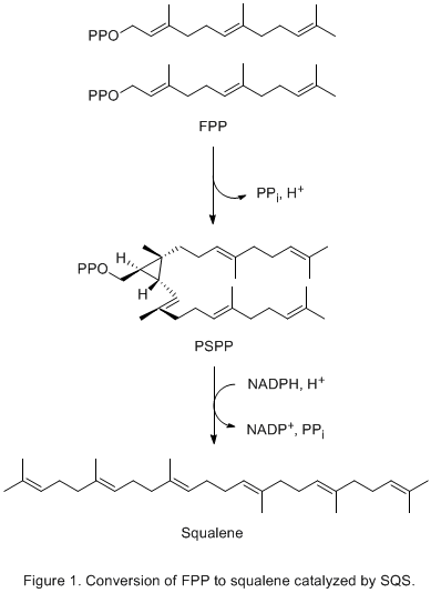 Farnesyl-diphosphate farnesyltransferase oasys2confexcomacs237nmtechprogramimages123