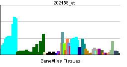 FARSA (gene)