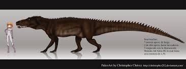 Fasolasuchus fasolasuchus Google Search FORSAKE NOT THE GODS creatures