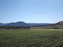 Fassifern Valley httpsuploadwikimediaorgwikipediacommonsthu