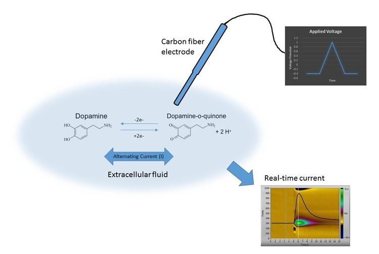 Fast-scan cyclic voltammetry