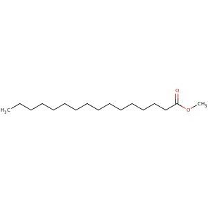 Fatty acid methyl ester httpsmediascbtcomproduct0923z92325jpg
