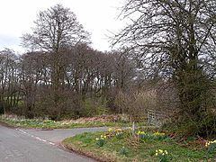 Faugh, Cumbria httpsuploadwikimediaorgwikipediacommonsthu