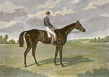 Favonius (horse) httpsuploadwikimediaorgwikipediacommonsthu
