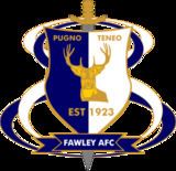 Fawley A.F.C. httpsuploadwikimediaorgwikipediaenthumbb