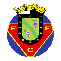 FC Felgueiras 1bpblogspotcomWEC1u5bcRUAS9nGF2Ou4kIAAAAAAA