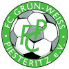 FC Grün-Weiß Piesteritz wwwfcgruenweisspiesteritzdeassetsimgnewssi