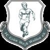 FC Grün-Weiß Wolfen httpsuploadwikimediaorgwikipediaenthumb6