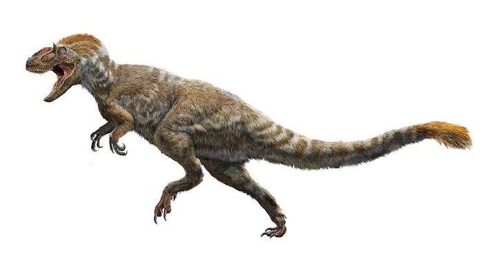 Feathered dinosaur - Wikipedia