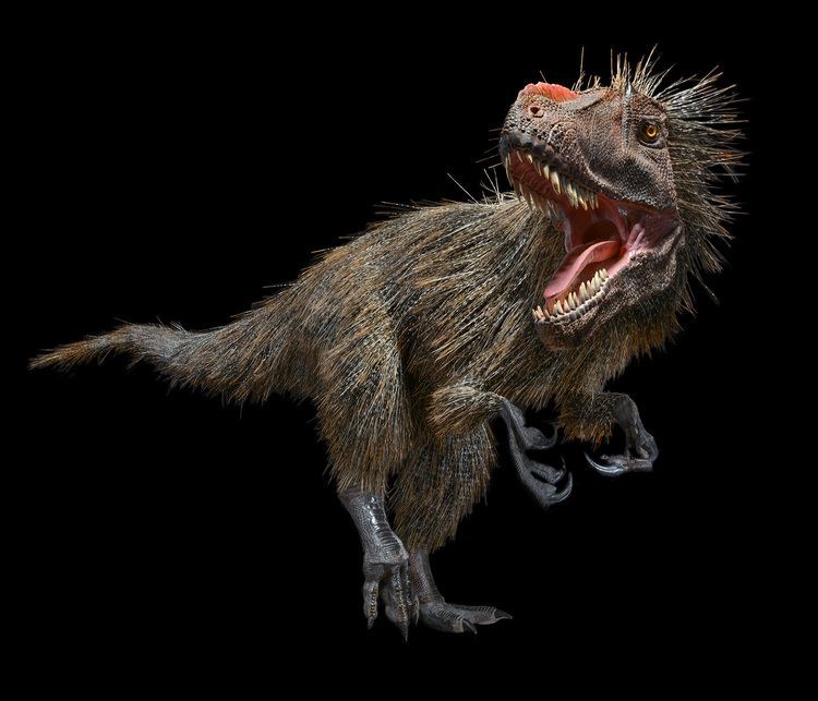 Feathered dinosaur Finally You Can See Dinosaurs in All Their Feathered Glory