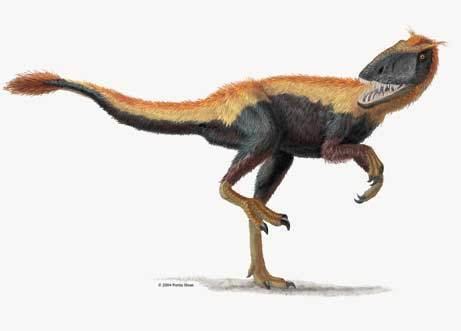 Feathered dinosaur Feathered Dinosaur Image Gallery