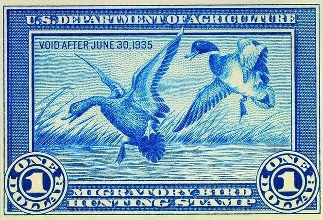Federal Duck Stamp