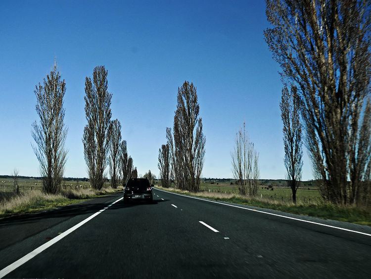 Federal Highway (Australia)