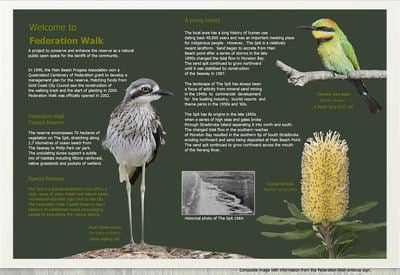 Federation Walk Birds of Federation Walk Coastal Reserve Queensland peterscholercom