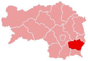 Feldbach District