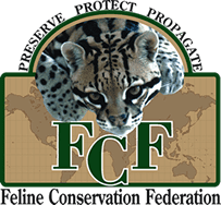 Feline Conservation Federation wwwfelineconservationorgassetsimglogoheaderpng