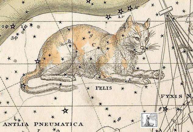 Felis (constellation) obeythekittycomwpcontentuploads201507felis