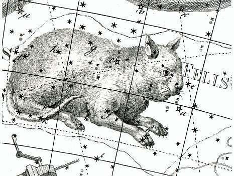 Felis (constellation) Star Tales Felis
