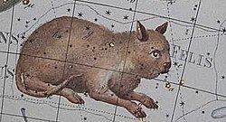 Felis (constellation) Felis constellation Wikipedia