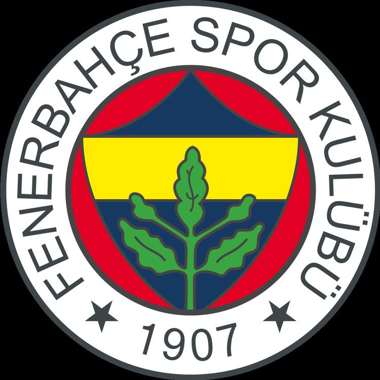 Fenerbahçe S.K. (football)