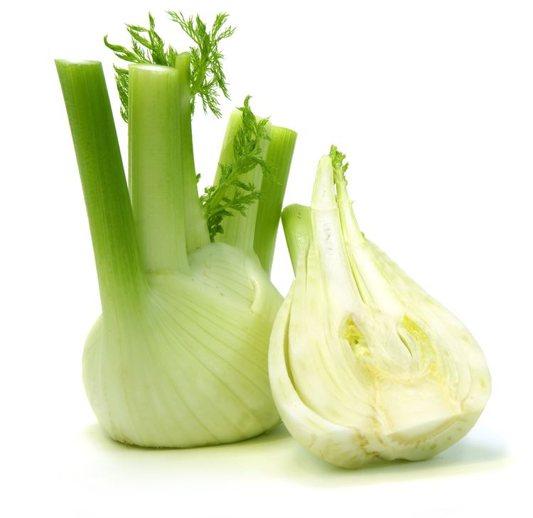 Fennel Benefits of Fennel Seed and Bulb Good Whole Food