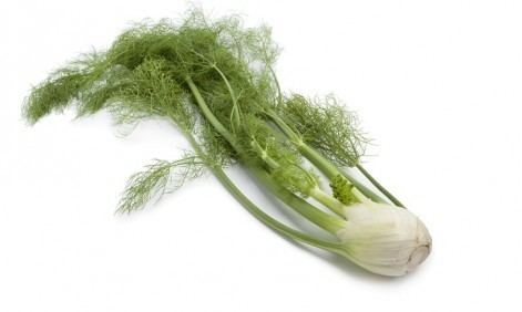 Fennel Fennel Bulb Health Benefits Nutrition Recipes Substitutes How to