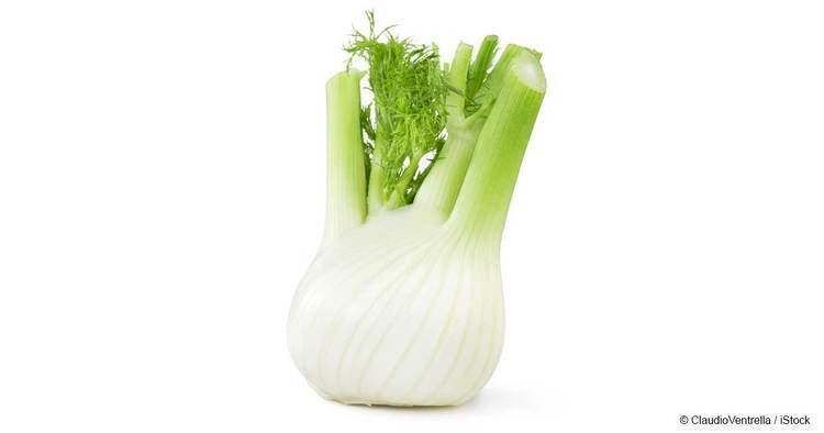 Fennel What is Fennel Good For Mercolacom