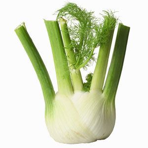 Fennel fenneljpg