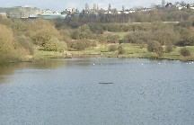 Fens Pools DMBC Fishing at Fens Pools