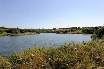 Fens Pools DMBC Buckpool Fens Pools and Barrow Hill Nature Reserves