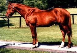 Ferdinand (horse) Ferdinand Old Friends A Retirement Home for Thoroughbred Race Horses