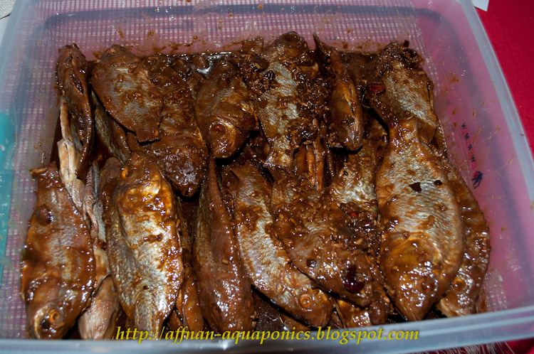 Fermented fish Affnan39s Aquaponics Tilapia Pekasam a Malay Traditional Fermented