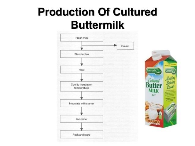 Fermented milk products Fermented milk products
