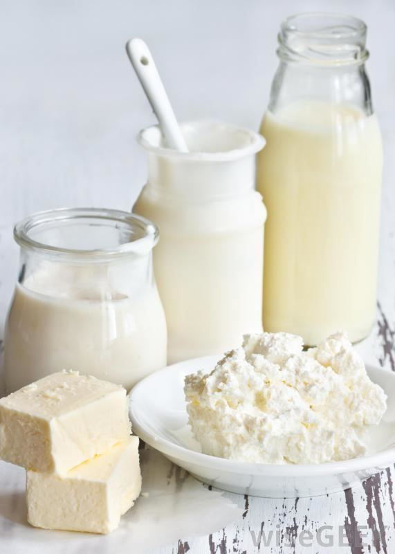 Fermented milk products What Are the Different Types of Fermented Milk Products