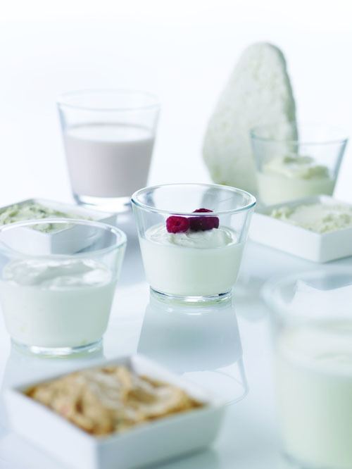 Fermented milk products Fermented Milk Cultures Australian Dairy Ingredients