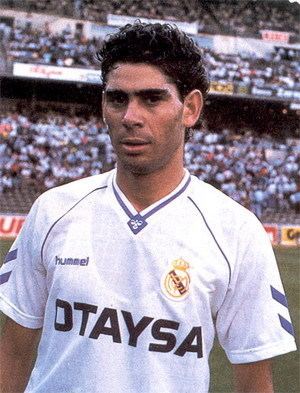 Fernando Hierro Classify Spanish footballer Fernando Hierro