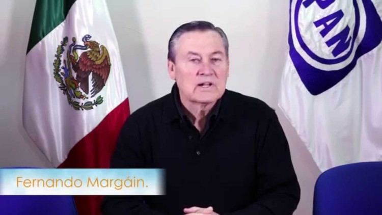Fernando Margáin Fernando Margain YouTube