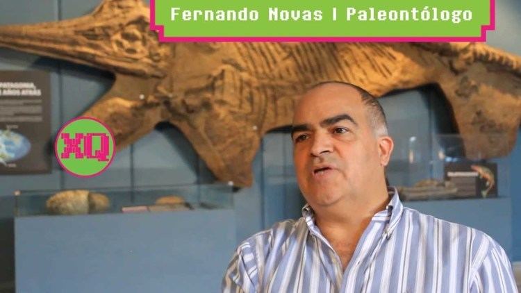 Fernando Novas Entrevista a Fernando Novas Parte I YouTube