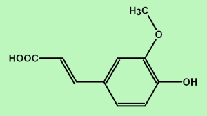 Ferulic acid Ferulic Acid