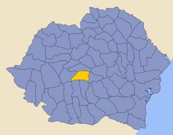 Făgăraș County