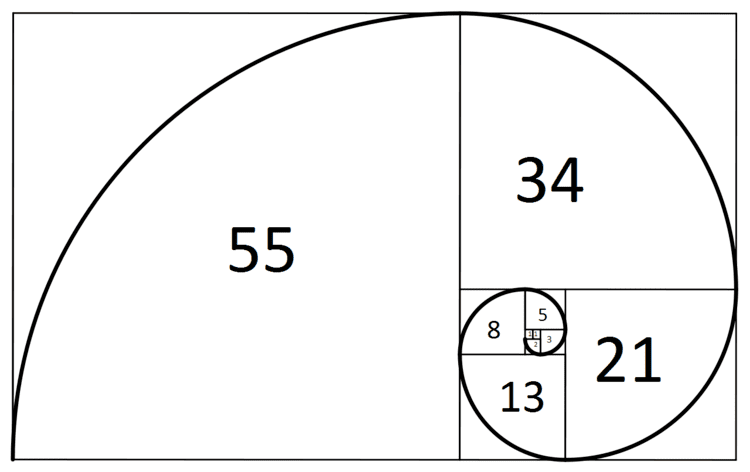 Fibonacci ELI5I39ve heard that the fibonacci sequence is found in