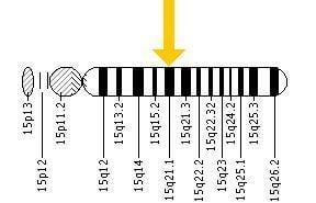 Fibrillin 1 Marfan Syndrome GGCWiki