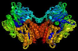Fibroblast activation protein, alpha httpsuploadwikimediaorgwikipediacommonsthu