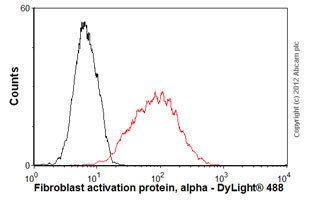 Fibroblast activation protein, alpha AntiFibroblast activation protein alpha antibody ab54651
