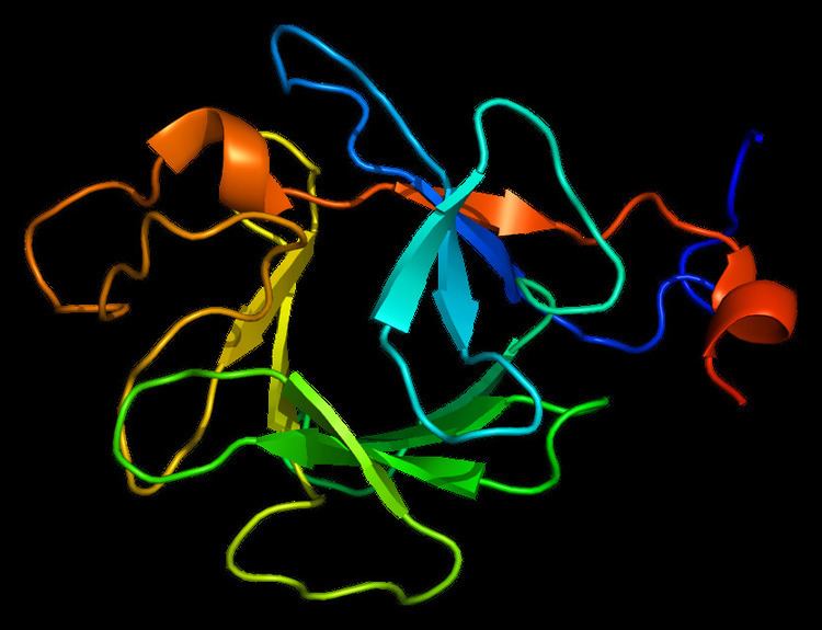 Fibroblast growth factor 23