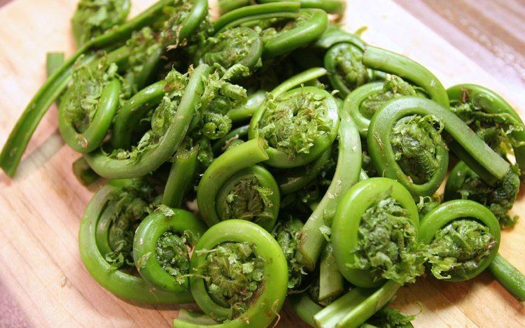 Fiddlehead fern What the Heck Is a Fiddlehead Fern and How Do You Eat It