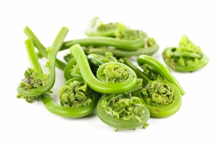 Fiddlehead fern Fiddlehead ferns Substitutes Ingredients Equivalents GourmetSleuth