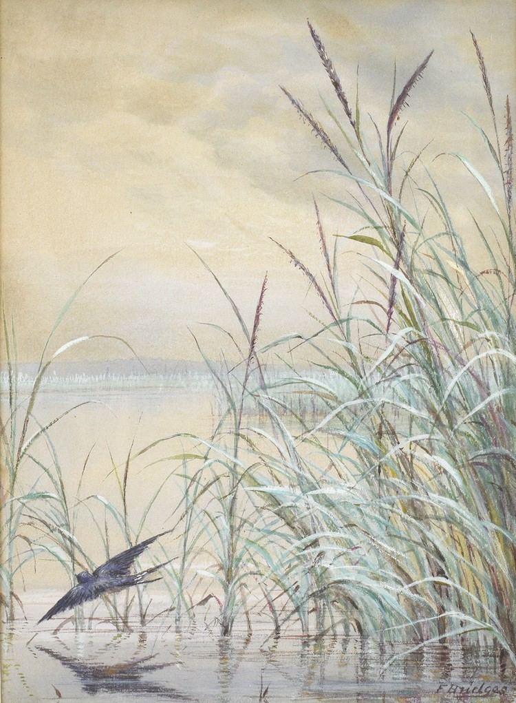 Fidelia Bridges A watercolor painting of a bird among shore grasses by