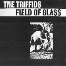 Field of Glass httpsuploadwikimediaorgwikipediaenthumbe
